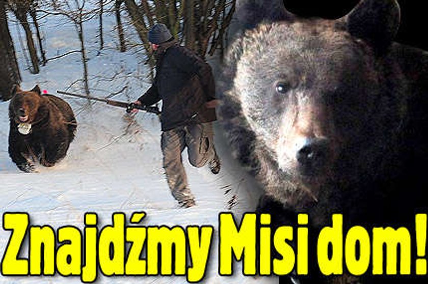 Znajdźmy Misi dom!