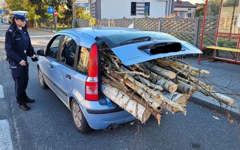 Fiat Panda wyładowany po brzegi chrustem