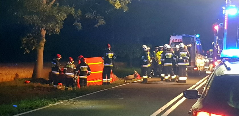 Wypadek w Zachodniopomorskiem. Auto uderzyło w drzewo. Zginęły 2 osoby