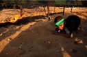 MIDEAST PALESTINIANS MILITARY (Military summer camp in the West Bank)