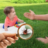 Megnagyobbodtak a nyirokcsomók kullancscsípés után – ez baj? Az orvos válaszol