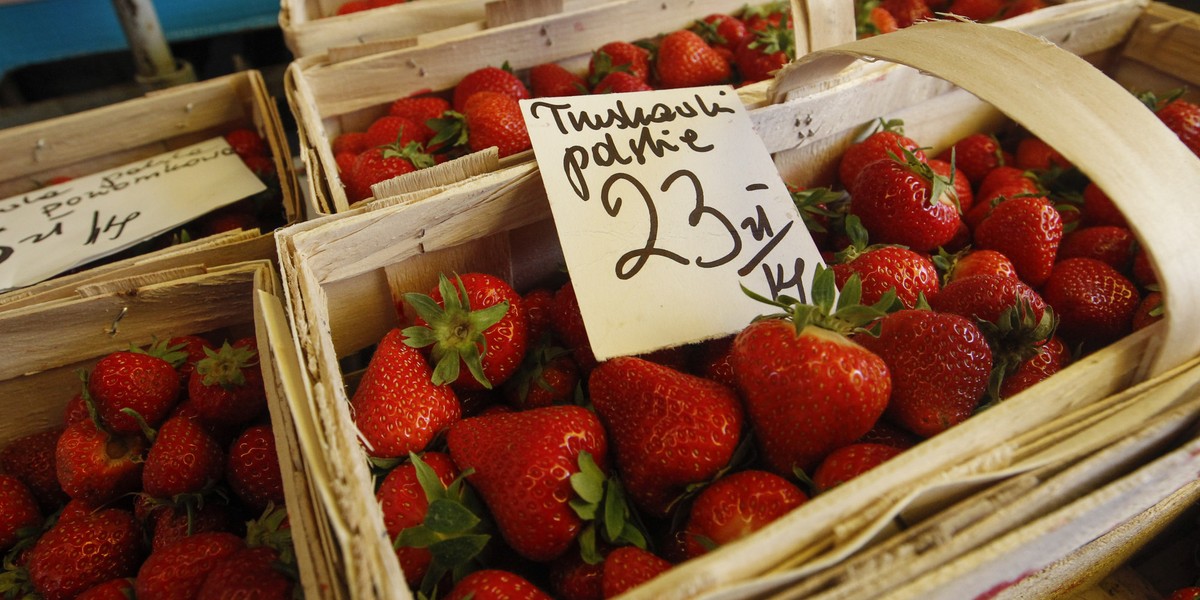 Truskawki wciąż są drogie. Rok temu ceny poniżej 10 zł za kilogram zaczęły się już od 20 maja, a teraz... Zapytaliśmy plantatorów, ile to jeszcze potrwa.