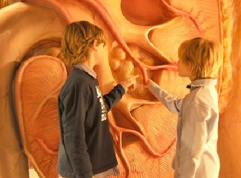 Kup bilet i wejdź do ludzkiego ciała