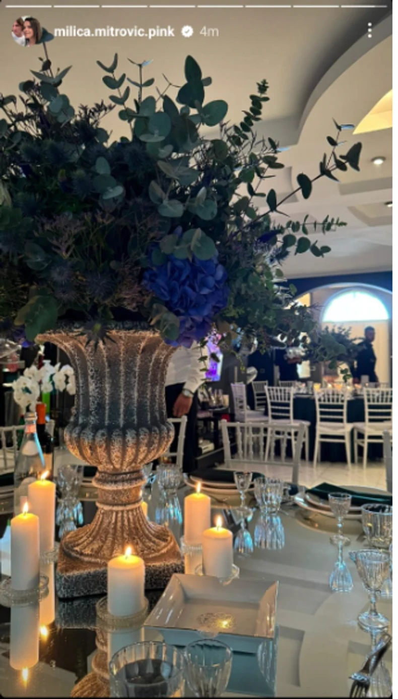 Rođendan Željka Mitrovića