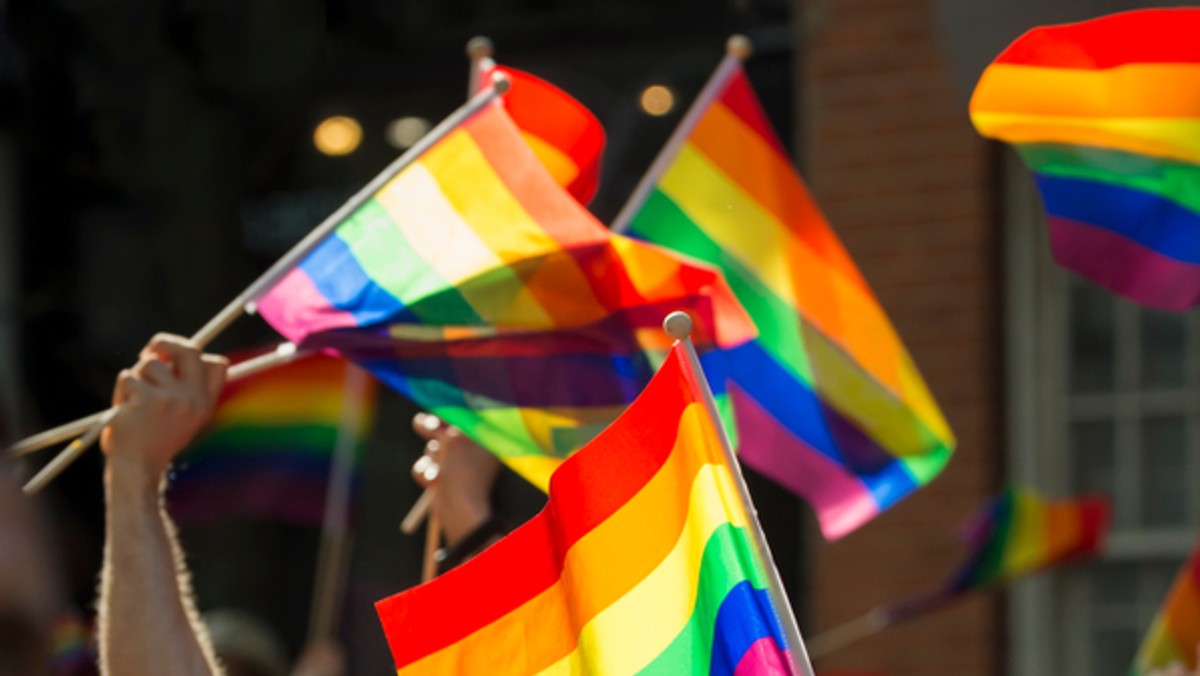 Czy Polacy chcą wprowadzenia Karty LGBT? Sondaż