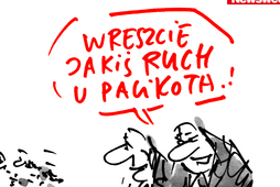 sawka ruch palikot