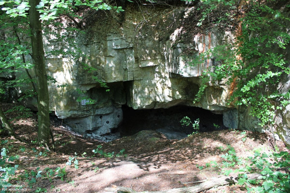 Jaskinia Szachownica, Załęczański Park Krajobrazowy
