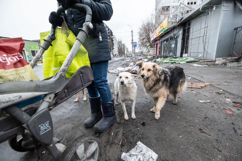 Nikt nie zwrócił uwagi na kobietę zamiatającą ulice. Tymczasem ona ratowała życie szesnastu osobom!