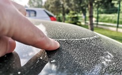 Osiada na samochodach i wszystkich denerwuje. Co to jest?