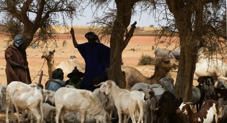 Mali has been struggling with a surge in jihadist violence but also from inter-communal bloodshed between hunters and herders