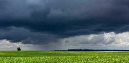 Koniec upałów i słońca? Nawet połowa kraju z ostrzeżeniami 2. stopnia!