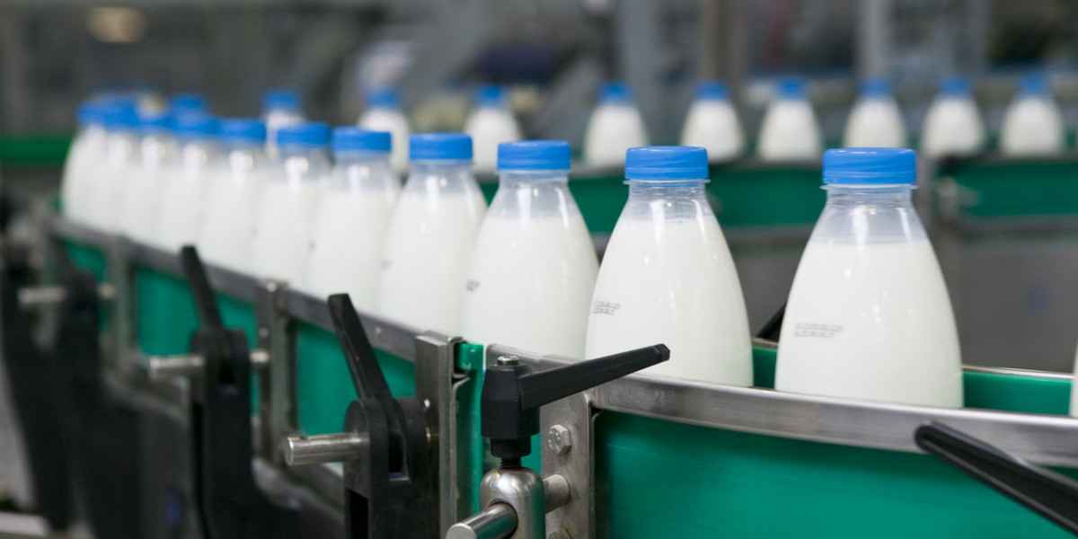 Ceny mleka w skupie sięgnęły rekordowego poziomu. Co ze sklepami?