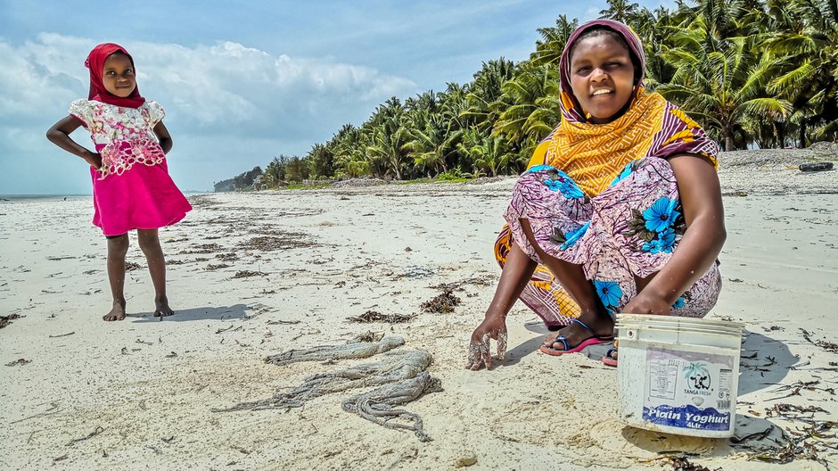 Zanzibar - plaża