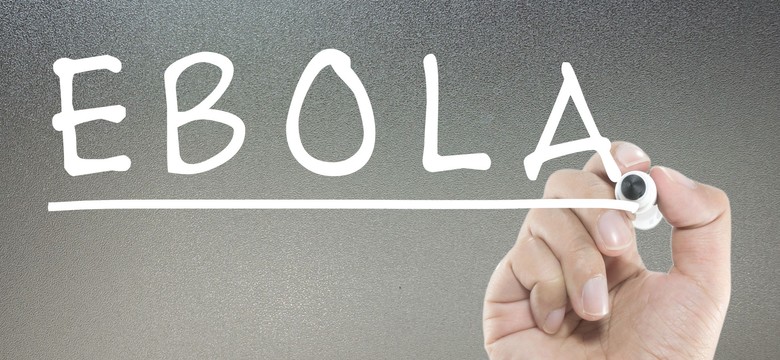 Alarm! Ebola rozprzestrzenia się za szybko. Będą miliony chorych