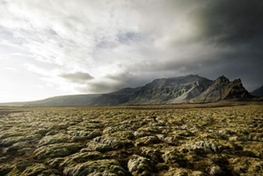 moss covered lava stone