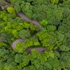 Fruška gora