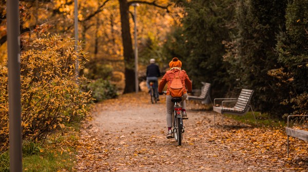 W rywalizacji liczy się nie tylko dystans, ale przede wszystkim systematyczność. A najcenniejsze nagrody wcale nie trafią do największych zawodowców.
