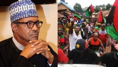 Your atrocities are not forgivable  —  IPOB lashes out at Buhari