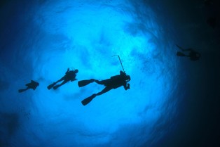 Polacy stworzyli innowacyjne płetwy. Komandosi z całego świata są zachwyceni