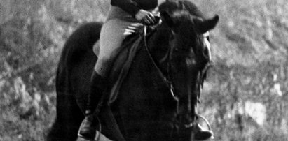 Donald Tusk jako koń "Karino"