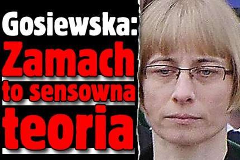 Gosiewska: Zamach to sensowna teoria 