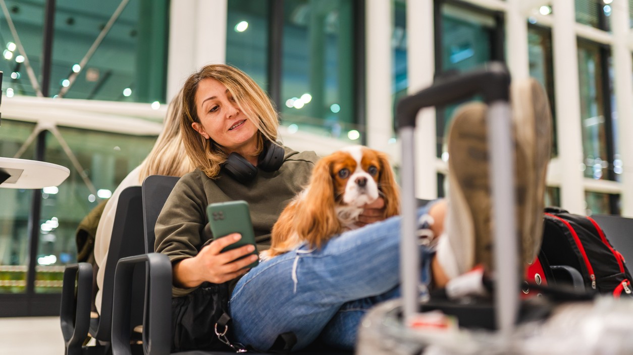 Nie je každé plemeno stvorené na lietanie. (Ilustračný obrázok)