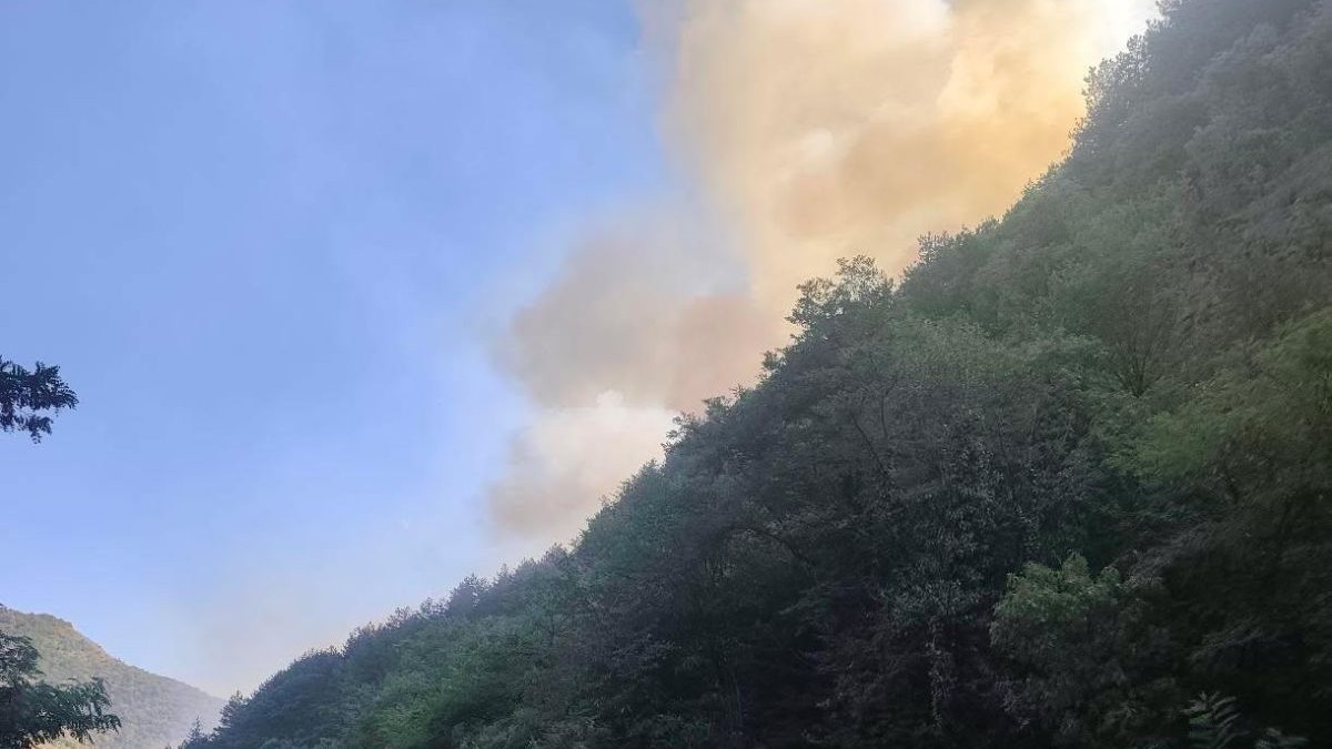 Požar uz Ibarsku magistralu kod Magliča