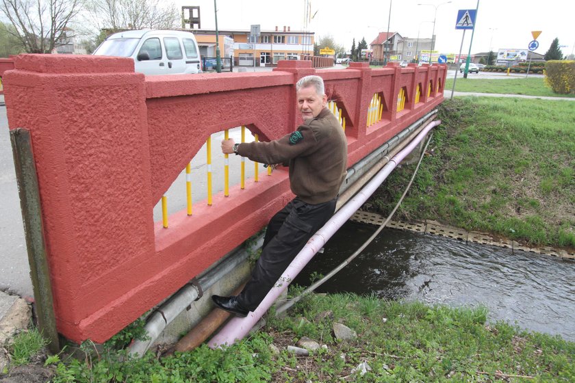 Radny Jerzy Harłacz demonstruje jak malował most