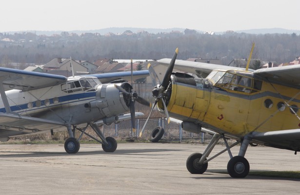 Samoloty typu An-2 (zdjęcie ilustracyjne)