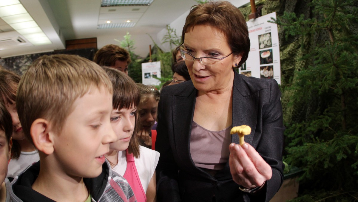 - W 2010 r. przeszczepiono 1374 narządy, najwięcej w ciągu ostatnich pięciu lat - wynika z danych ministerstwa zdrowia. W tym roku jest szansa na jeszcze większą, rekordową liczbę przeszczepów - uważa minister Ewa Kopacz.