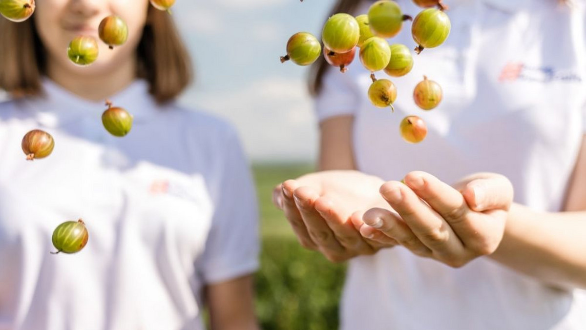 <strong>Plantatorzy współpracują z nauczycielami aby pokazać dzieciom miejsce owoców w ich codziennych posiłkach. Dobrym przykładem takiej współpracy jest Szkoła Podstawowa im. Orląt Lwowskich w Roźwienicy na Podkarpaciu. Dzieci uczą się, że dobra forma zaczyna się w kuchni, a każdy dzień od śniadania w domu i drugiego śniadania w szkole. </strong>