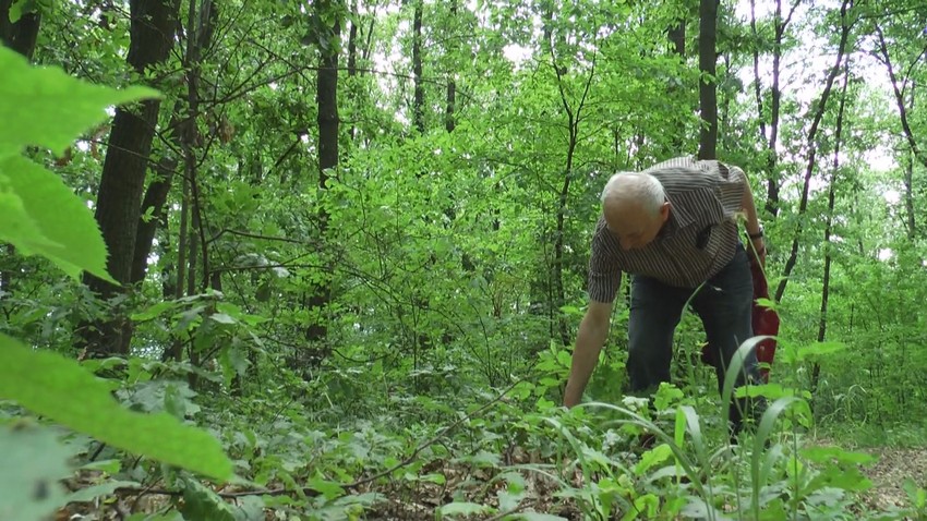 Tokom branja se moraju poznavati posebne metode