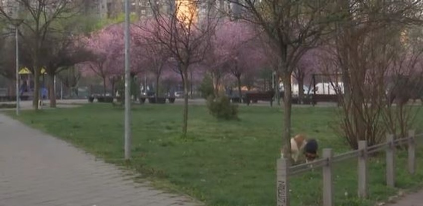 Mesto obračuna navijača