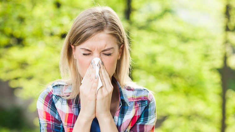 allergia, pollen, keresztallergia, parlagfű