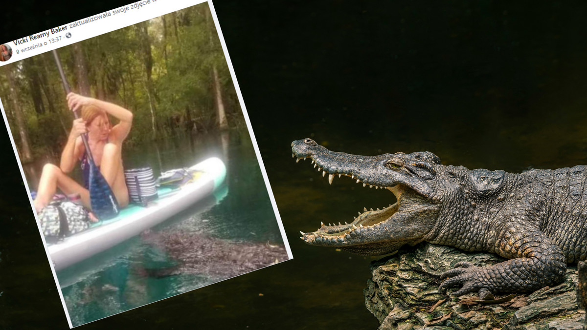 Aligator zaatakował kobietę na Florydzie. "Dlaczego ze mną zadzierasz?"