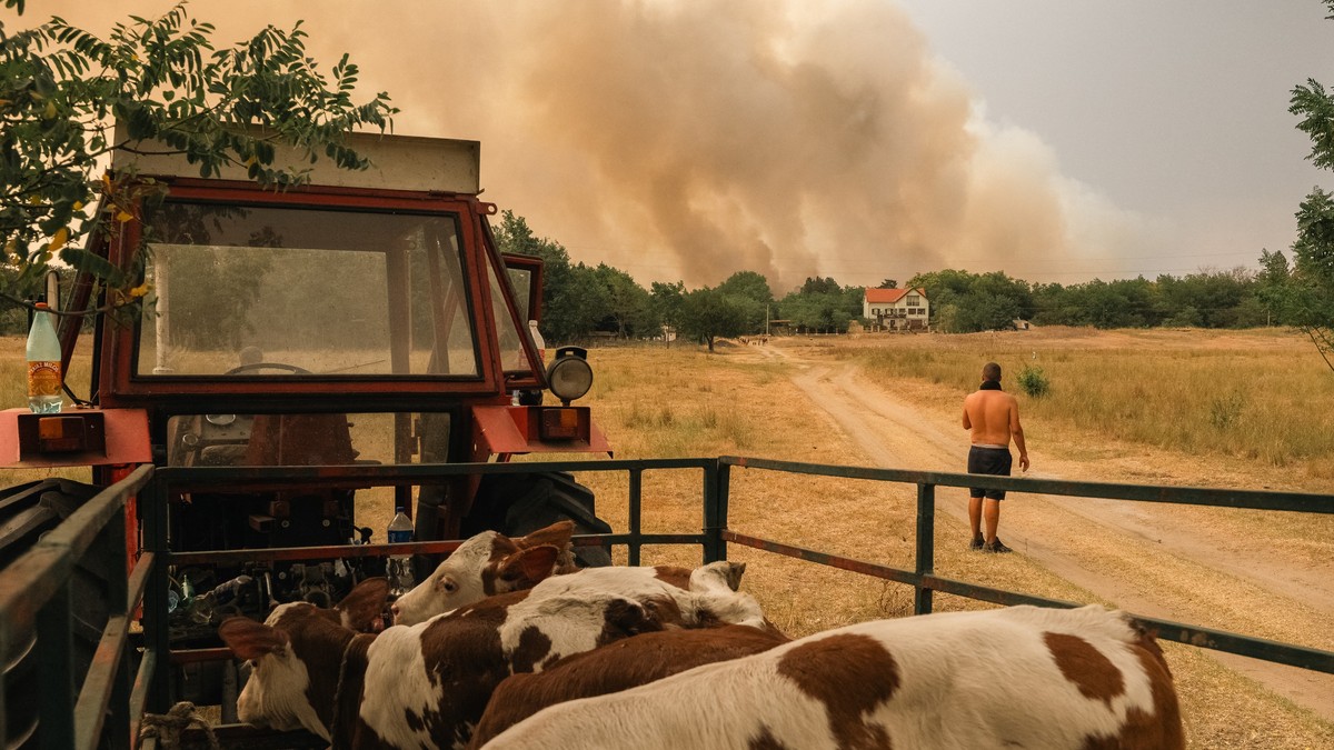 Deliblatska peščara