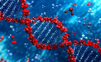 Polska naukowczyni rozwiązuje zagadki ludzkiego genomu i niekodującego RNA