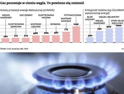 Gaz łupkowy w Polsce pozwoli na ekologicznego oczyszczenie