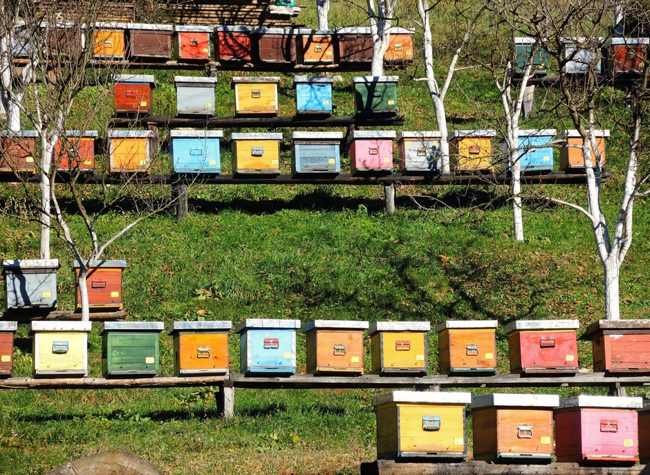  Med koji se dobija u gradu je sasvim zdrav