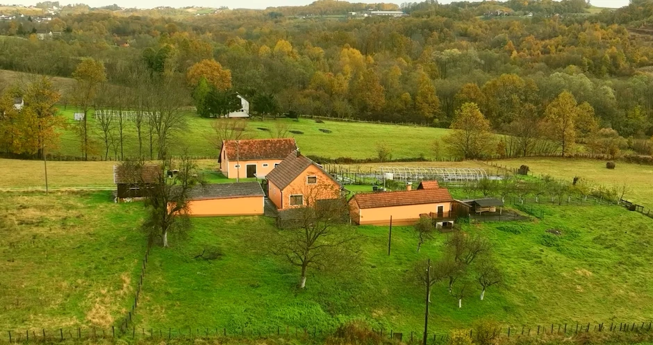 Mile Kitić, emisija "Metar moga sela"