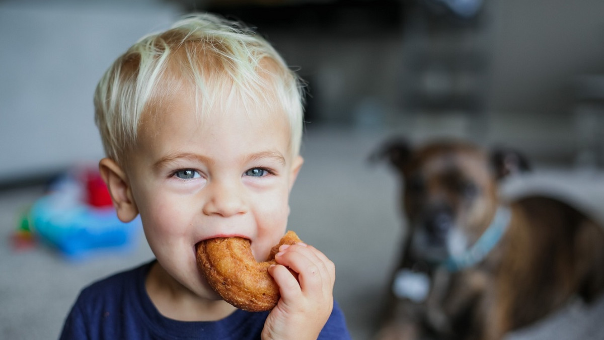 Rozszerzanie diety to ważne wydarzenie zarówno dla rodziców, jak i malucha. W końcu poza mlekiem mamy dziecko doświadcza już zupełnie nowych smaków. Wprowadzenie do jadłospisu kaszek zbożowych (po warzywach i owocach) daje opiekunom świetną okazję do podawania najmłodszym posiłków w nieznanych dotąd odsłonach. Jak zachęcić małego smakosza do próbowania nowości? Upiecz pyszne obwarzanki, które zachwycą podniebienie zarówno malucha, jak i starszych członków rodziny.