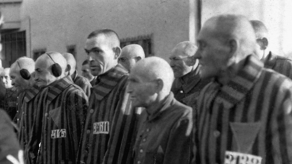 Więźniowie obozu koncentracyjnego Sachsenhausen (bez W). Wśród nich byli więźniowie z różowym trójkątem prześladowani z powodu homoseksualności