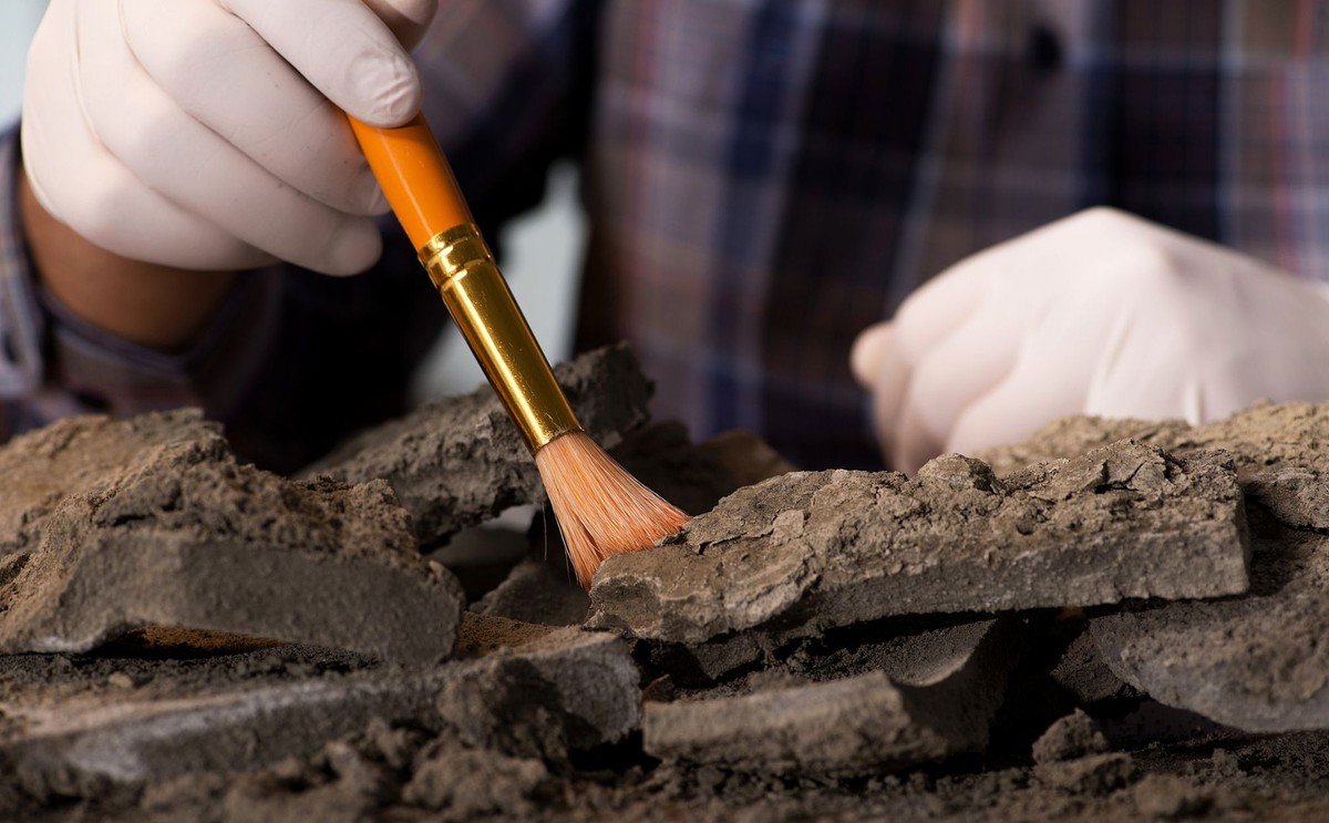 Paleontolog przy pracy