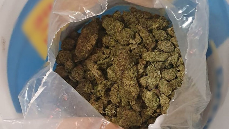 Lubuskie: Policja przejęła 2 kg narkotyków 