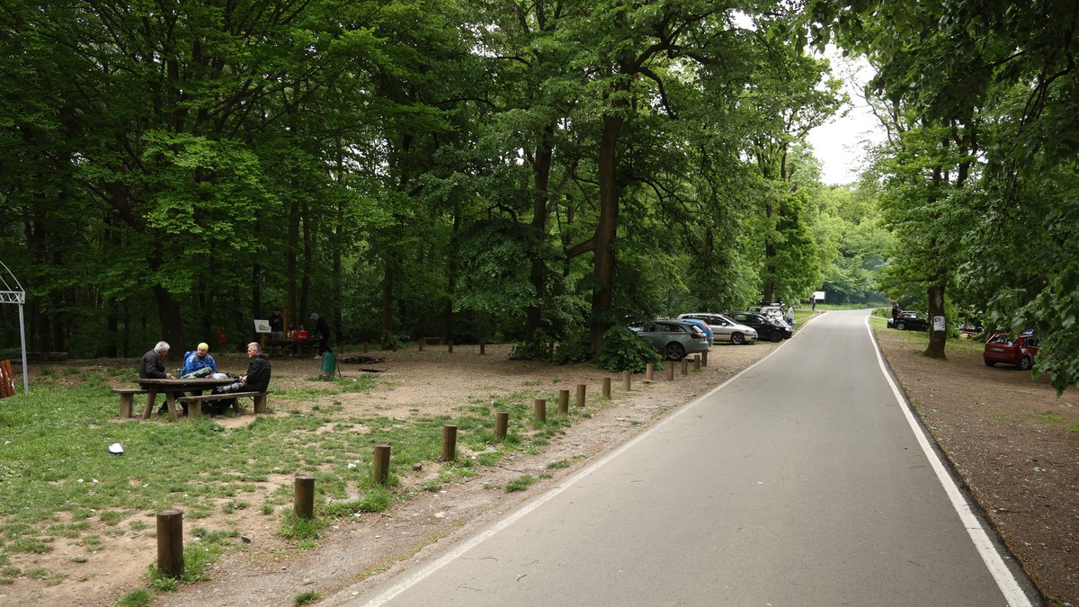 Avala