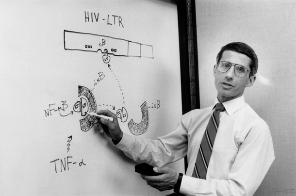 Dr Anthony Fauci na spotkaniu z badaczami pracującymi nad ograniczeniem ekspansji wirusa HIV, Narodowe Instytuty Zdrowia, Nowy Jork, sierpień 1990 r. 