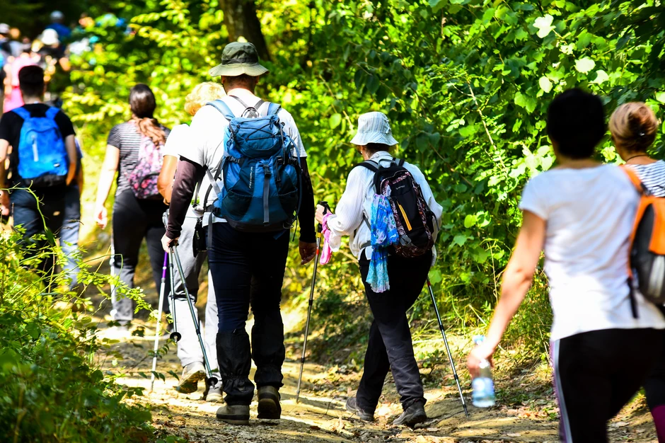 Najčešće mesto ujeda krpelja su ekstremiteti