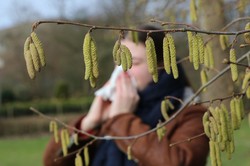 Sezon na pyłki rozpoczęty. Co teraz pyli?