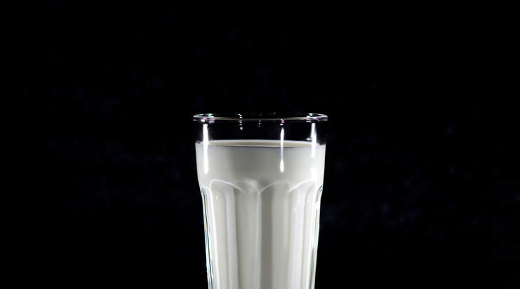 Újra 3 forintos tej a II. kerületben /Illusztráció: Pexels