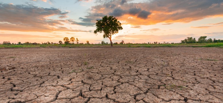 Nathaniel Rich "Ziemia", czyli katastroficzna literatura faktu [RECENZJA]